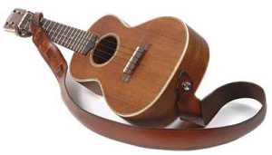 Leather Strap from Bushman