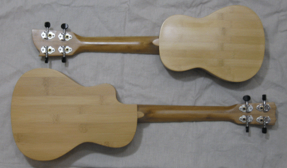 Corboaba_25CB_Paulele_KBUS_full_Back