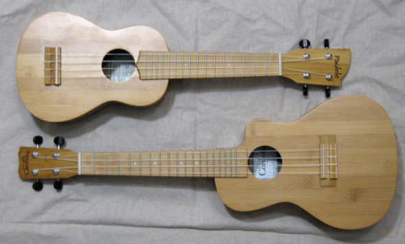 Corboaba_25CB_Paulele_KBUS_full_front