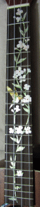 inlay_Fretboard_Full