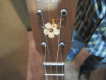 Martin_Ukulele (2)