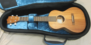 Reunion_Blues_RBTUK_Martin